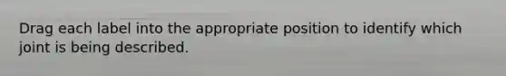 Drag each label into the appropriate position to identify which joint is being described.