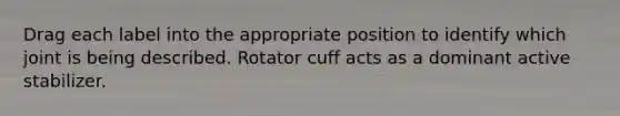 Drag each label into the appropriate position to identify which joint is being described. Rotator cuff acts as a dominant active stabilizer.