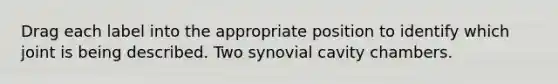 Drag each label into the appropriate position to identify which joint is being described. Two synovial cavity chambers.