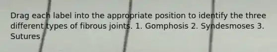 Drag each label into the appropriate position to identify the three different types of fibrous joints. 1. Gomphosis 2. Syndesmoses 3. Sutures