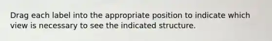 Drag each label into the appropriate position to indicate which view is necessary to see the indicated structure.