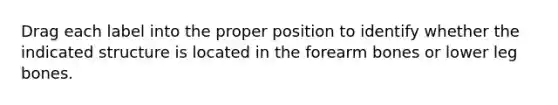 Drag each label into the proper position to identify whether the indicated structure is located in the forearm bones or lower leg bones.