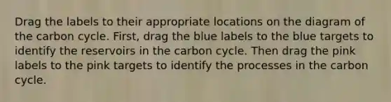 Drag the labels to their appropriate locations on the diagram of the carbon cycle. First, drag the blue labels to the blue targets to identify the reservoirs in the carbon cycle. Then drag the pink labels to the pink targets to identify the processes in the carbon cycle.