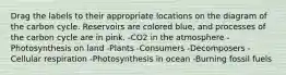 Drag the labels to their appropriate locations on the diagram of the carbon cycle. Reservoirs are colored blue, and processes of the carbon cycle are in pink. -CO2 in the atmosphere -Photosynthesis on land -Plants -Consumers -Decomposers -Cellular respiration -Photosynthesis in ocean -Burning fossil fuels