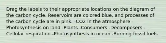 Drag the labels to their appropriate locations on the diagram of <a href='https://www.questionai.com/knowledge/kMvxsmmBPd-the-carbon-cycle' class='anchor-knowledge'>the carbon cycle</a>. Reservoirs are colored blue, and processes of the carbon cycle are in pink. -CO2 in the atmosphere -Photosynthesis on land -Plants -Consumers -Decomposers -<a href='https://www.questionai.com/knowledge/k1IqNYBAJw-cellular-respiration' class='anchor-knowledge'>cellular respiration</a> -Photosynthesis in ocean -Burning fossil fuels