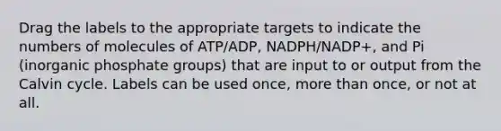 Drag the labels to the appropriate targets to indicate the numbers of molecules of ATP/ADP, NADPH/NADP+, and Pi (inorganic phosphate groups) that are input to or output from the Calvin cycle. Labels can be used once, more than once, or not at all.