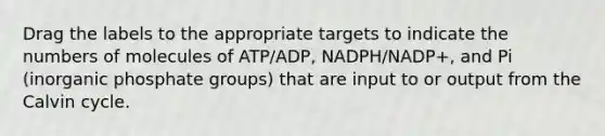 Drag the labels to the appropriate targets to indicate the numbers of molecules of ATP/ADP, NADPH/NADP+, and Pi (inorganic phosphate groups) that are input to or output from the Calvin cycle.