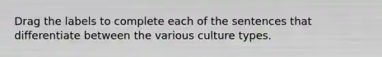 Drag the labels to complete each of the sentences that differentiate between the various culture types.