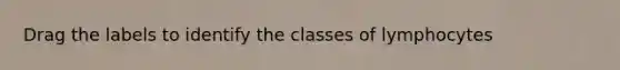 Drag the labels to identify the classes of lymphocytes