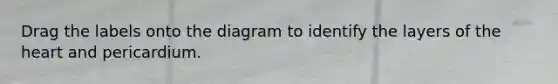 Drag the labels onto the diagram to identify the layers of the heart and pericardium.