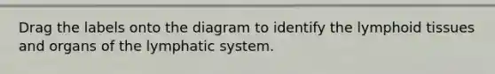 Drag the labels onto the diagram to identify the lymphoid tissues and organs of the lymphatic system.