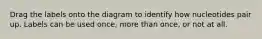 Drag the labels onto the diagram to identify how nucleotides pair up. Labels can be used once, more than once, or not at all.