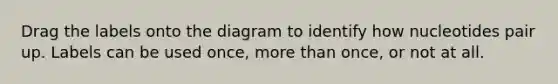 Drag the labels onto the diagram to identify how nucleotides pair up. Labels can be used once, <a href='https://www.questionai.com/knowledge/keWHlEPx42-more-than' class='anchor-knowledge'>more than</a> once, or not at all.