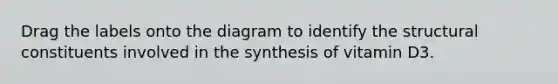 Drag the labels onto the diagram to identify the structural constituents involved in the synthesis of vitamin D3.