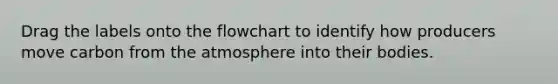 Drag the labels onto the flowchart to identify how producers move carbon from the atmosphere into their bodies.