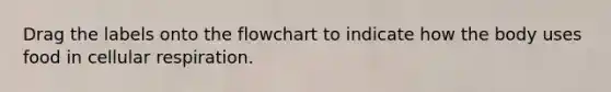 Drag the labels onto the flowchart to indicate how the body uses food in cellular respiration.