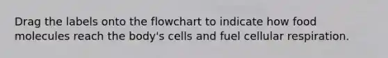 Drag the labels onto the flowchart to indicate how food molecules reach the body's cells and fuel cellular respiration.