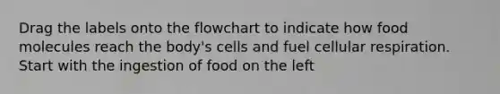 Drag the labels onto the flowchart to indicate how food molecules reach the body's cells and fuel cellular respiration. Start with the ingestion of food on the left