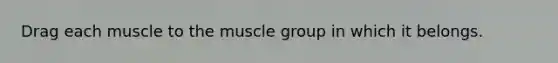 Drag each muscle to the muscle group in which it belongs.