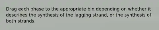 Drag each phase to the appropriate bin depending on whether it describes the synthesis of the lagging strand, or the synthesis of both strands.