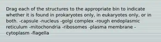 Drag each of the structures to the appropriate bin to indicate whether it is found in prokaryotes only, in eukaryotes only, or in both. -capsule -nucleus -golgi complex -rough endoplasmic reticulum -mitochondria -ribosomes -plasma membrane -cytoplasm -flagella