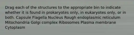 Drag each of the structures to the appropriate bin to indicate whether it is found in prokaryotes only, in eukaryotes only, or in both. Capsule Flagella Nucleus Rough endoplasmic reticulum Mitochondria Golgi complex Ribosomes Plasma membrane Cytoplasm