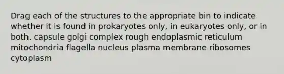 Drag each of the structures to the appropriate bin to indicate whether it is found in prokaryotes only, in eukaryotes only, or in both. capsule golgi complex rough endoplasmic reticulum mitochondria flagella nucleus plasma membrane ribosomes cytoplasm