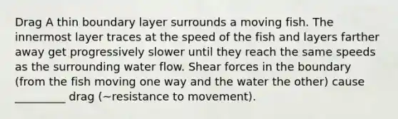 Drag A thin boundary layer surrounds a moving fish. The innermost layer traces at the speed of the fish and layers farther away get progressively slower until they reach the same speeds as the surrounding water flow. Shear forces in the boundary (from the fish moving one way and the water the other) cause _________ drag (~resistance to movement).