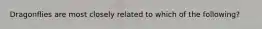 Dragonflies are most closely related to which of the following?