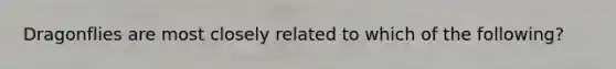 Dragonflies are most closely related to which of the following?