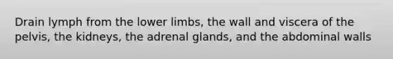 Drain lymph from the <a href='https://www.questionai.com/knowledge/kF4ILRdZqC-lower-limb' class='anchor-knowledge'>lower limb</a>s, the wall and viscera of the pelvis, the kidneys, the adrenal glands, and the abdominal walls