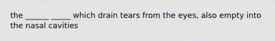 the ______ _____ which drain tears from the eyes, also empty into the nasal cavities