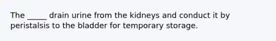 The _____ drain urine from the kidneys and conduct it by peristalsis to the bladder for temporary storage.