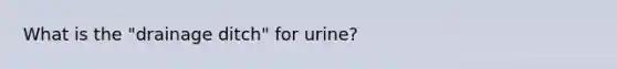 What is the "drainage ditch" for urine?