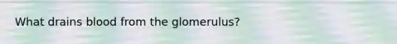 What drains blood from the glomerulus?