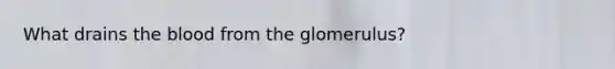 What drains the blood from the glomerulus?