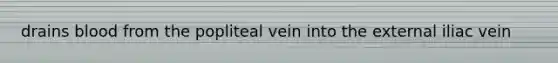 drains blood from the popliteal vein into the external iliac vein