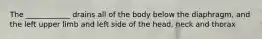 The ____________ drains all of the body below the diaphragm, and the left upper limb and left side of the head, neck and thorax