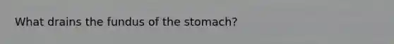 What drains the fundus of the stomach?