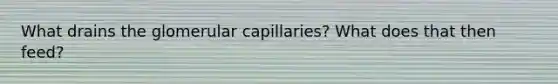 What drains the glomerular capillaries? What does that then feed?