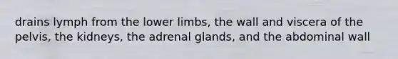 drains lymph from the lower limbs, the wall and viscera of the pelvis, the kidneys, the adrenal glands, and the abdominal wall