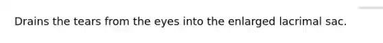 Drains the tears from the eyes into the enlarged lacrimal sac.
