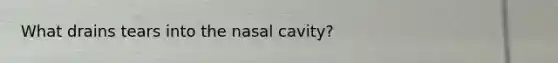 What drains tears into the nasal cavity?