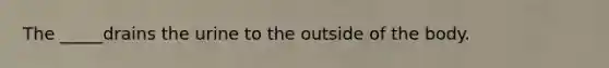 The _____drains the urine to the outside of the body.