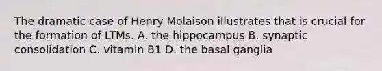 The dramatic case of Henry Molaison illustrates that is crucial for the formation of LTMs. A. the hippocampus B. synaptic consolidation C. vitamin B1 D. the basal ganglia