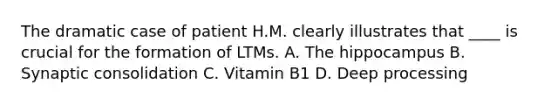 The dramatic case of patient H.M. clearly illustrates that ____ is crucial for the formation of LTMs. A. The hippocampus B. Synaptic consolidation C. Vitamin B1 D. Deep processing