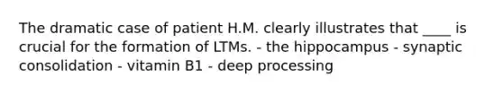 The dramatic case of patient H.M. clearly illustrates that ____ is crucial for the formation of LTMs. - the hippocampus - synaptic consolidation - vitamin B1 - deep processing