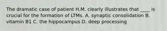 The dramatic case of patient H.M. clearly illustrates that ____ is crucial for the formation of LTMs. A. synaptic consolidation B. vitamin B1 C. the hippocampus D. deep processing