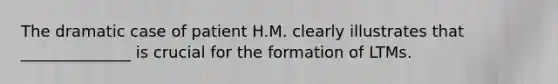 The dramatic case of patient H.M. clearly illustrates that ______________ is crucial for the formation of LTMs.