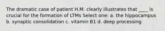 The dramatic case of patient H.M. clearly illustrates that ____ is crucial for the formation of LTMs Select one: a. the hippocampus b. synaptic consolidation c. vitamin B1 d. deep processing